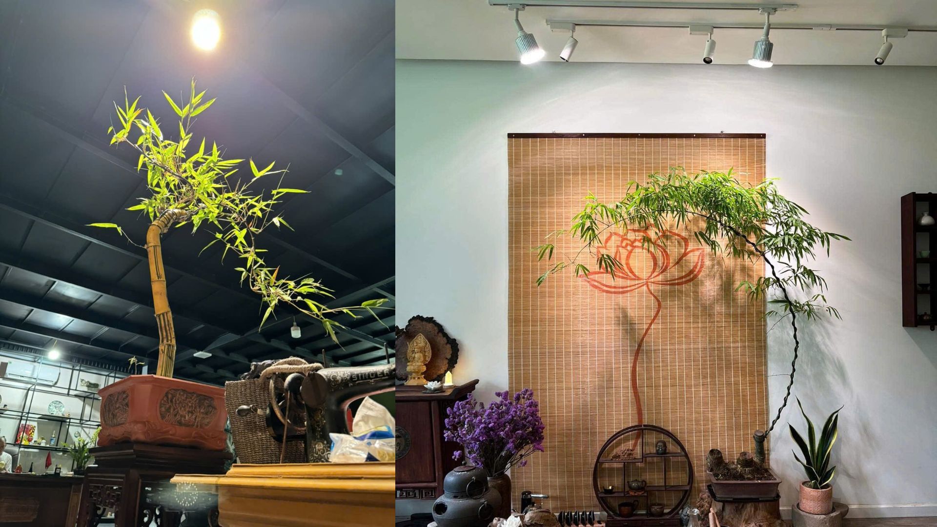 Đèn Quang Hợp: Giải Pháp Cho Việc Trồng Cây Trong Nhà